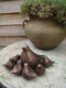 vogels 2